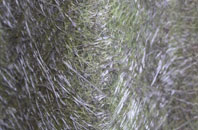 Bonnyton fibreglass roof work